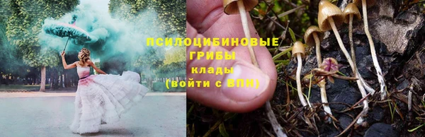 альфа пвп Краснослободск