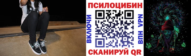 Галлюциногенные грибы Psilocybine cubensis Лосино-Петровский